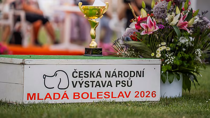 NVP Mladá Boleslav