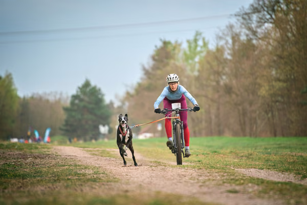 Libová Jízda 2026 - Spring — Libová jízda – BKJ
