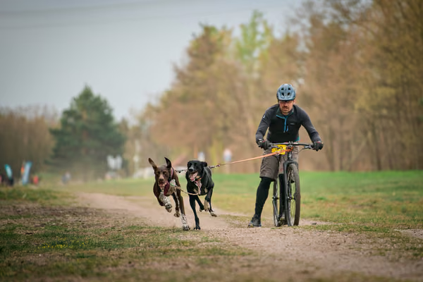 Libová Jízda 2026 - Spring — Libová jízda – SC2