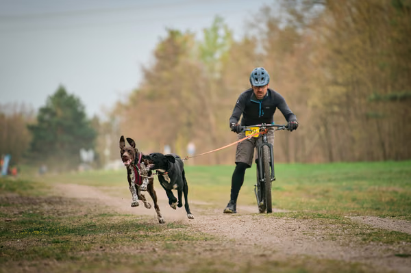 Libová Jízda 2026 - Spring — Libová jízda – SC2