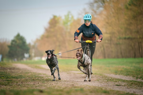 Libová Jízda 2026 - Spring — Libová jízda – SC2