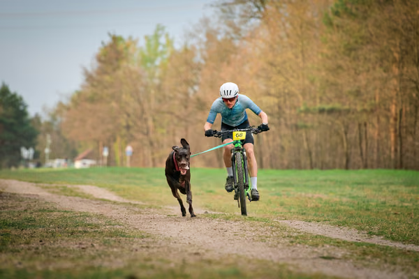 Libová Jízda 2026 - Spring — Libová jízda – BKJ