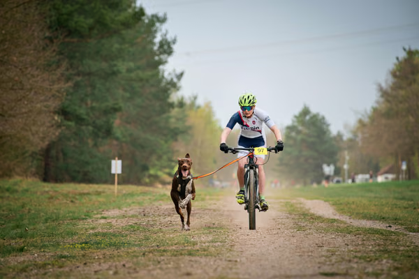 Libová Jízda 2026 - Spring — Libová jízda – BKJ