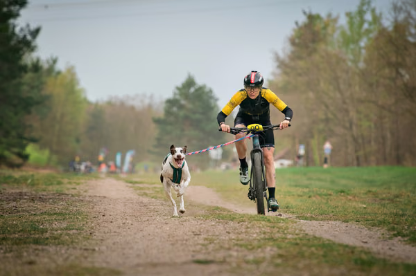 Libová Jízda 2026 - Spring — Libová jízda – BKJ