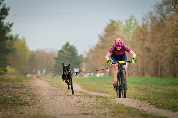 Libová Jízda 2026 - Spring — Libová jízda – BKJ