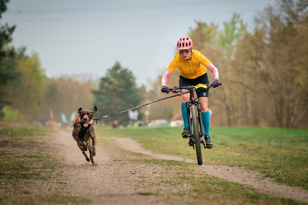 Libová Jízda 2026 - Spring — Libová jízda – BKJ