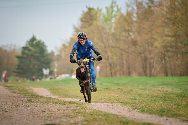 Libová Jízda 2026 - Spring — Libová jízda – BKJ