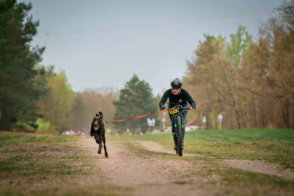 Libová Jízda 2026 - Spring — Libová jízda – SC