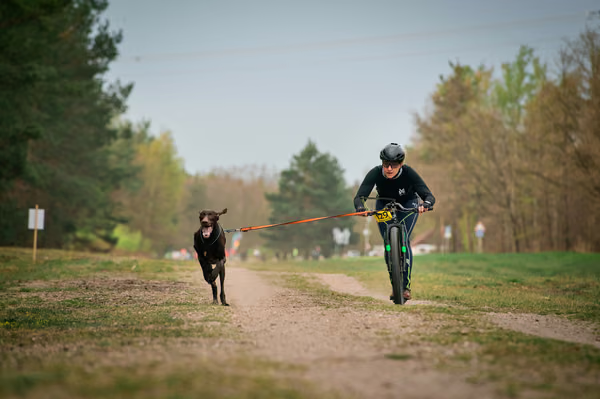 Libová Jízda 2026 - Spring — Libová jízda – SC