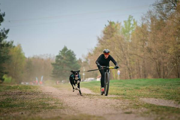 Libová Jízda 2026 - Spring — Libová jízda – SC