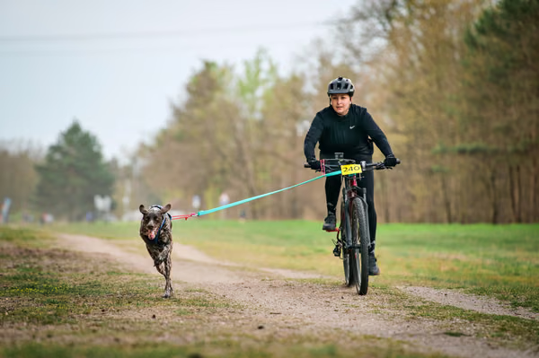 Libová Jízda 2026 - Spring — Libová jízda – BKJ