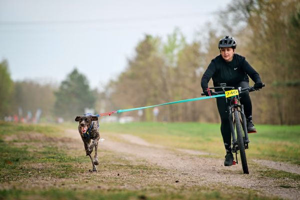 Libová Jízda 2026 - Spring — Libová jízda – BKJ