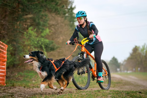 Libová Jízda 2026 - Spring — Libová jízda – BKJ