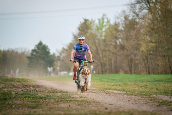 Libová Jízda 2026 - Spring — Libová jízda – BKJ