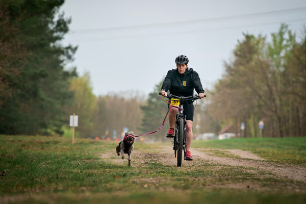 Libová Jízda 2026 - Spring — Libová jízda – BKJ