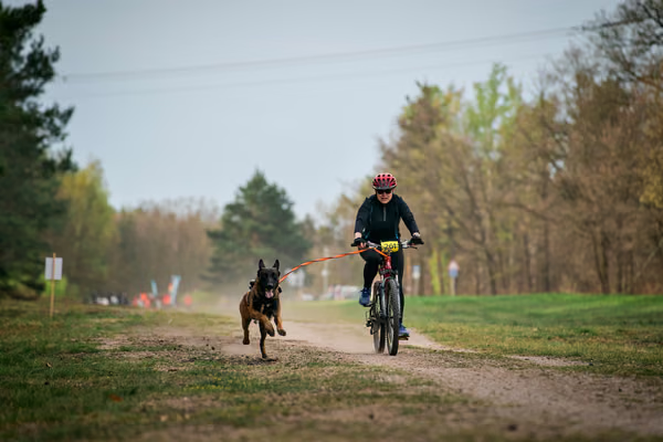 Libová Jízda 2026 - Spring — Libová jízda – BKJ