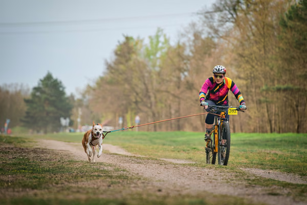 Libová Jízda 2026 - Spring — Libová jízda – BKJ