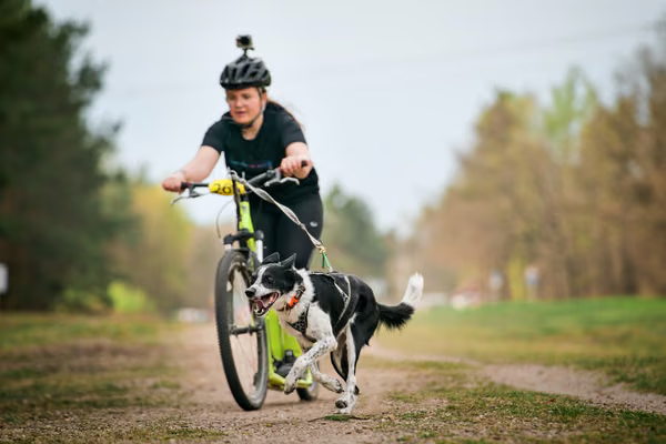Libová Jízda 2026 - Spring — Libová jízda – SC