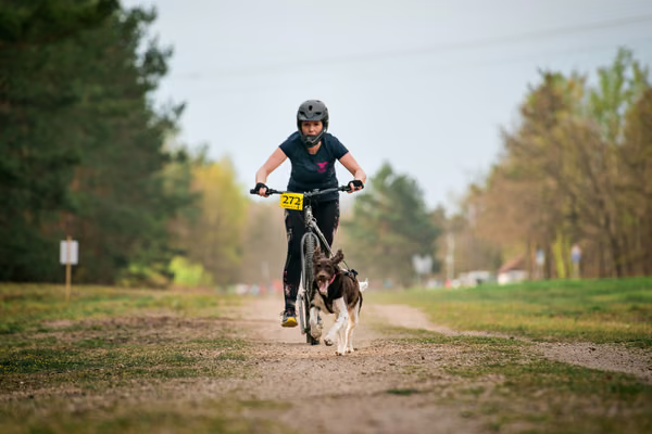 Libová Jízda 2026 - Spring — Libová jízda – SC