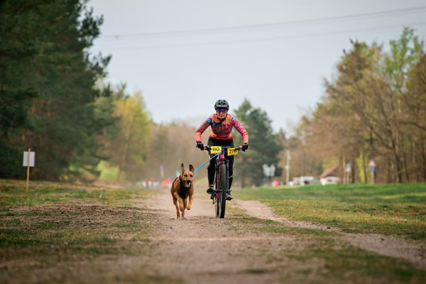 Libová Jízda 2026 - Spring — Libová jízda – BKJ