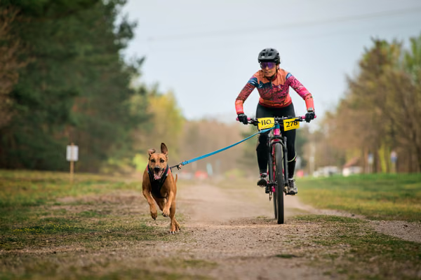 Libová Jízda 2026 - Spring — Libová jízda – BKJ