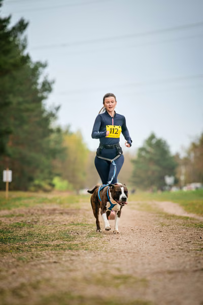 Libová Jízda 2026 - Spring — Libová jízda – CC
