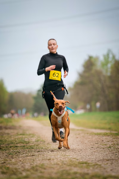 Libová Jízda 2026 - Spring — Libová jízda – CC
