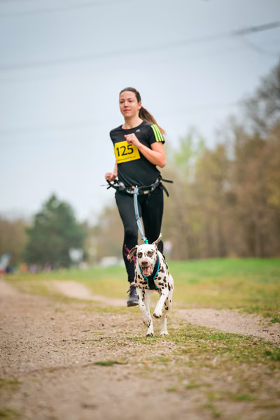 Libová Jízda 2026 - Spring — Libová jízda – CC