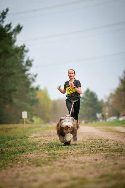 Libová Jízda 2026 - Spring — Libová jízda – CC