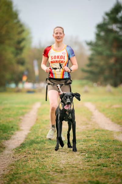 Libová Jízda 2026 - Spring — Libová jízda – CC