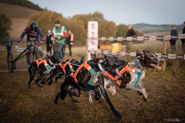 LOUKA 2026 | Český pohár ČASS — Louka - Neděle – Start a cíl