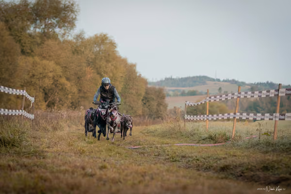 LOUKA 2026 | Český pohár ČASS — Louka - Neděle – Start a cíl