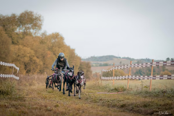 LOUKA 2026 | Český pohár ČASS — Louka - Neděle – Start a cíl