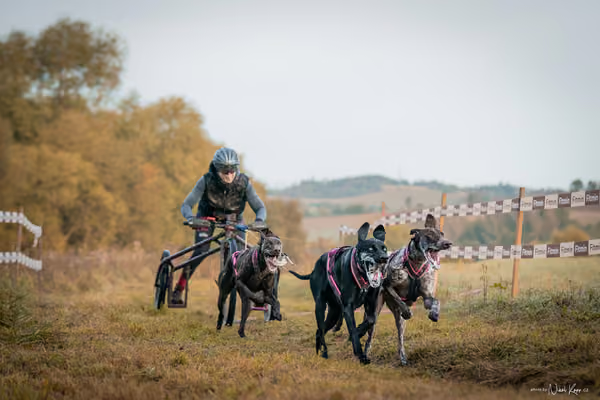 LOUKA 2026 | Český pohár ČASS — Louka - Neděle – Start a cíl