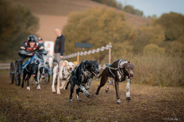 LOUKA 2026 | Český pohár ČASS — Louka - Neděle – Start a cíl