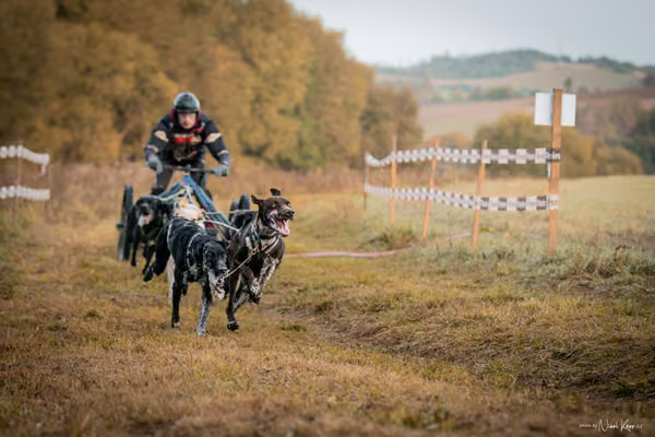 LOUKA 2026 | Český pohár ČASS — Louka - Neděle – Start a cíl