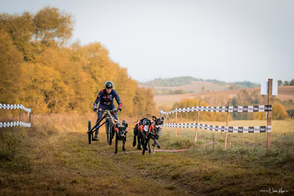 LOUKA 2026 | Český pohár ČASS — Louka - Neděle – Start a cíl