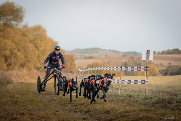 LOUKA 2026 | Český pohár ČASS — Louka - Neděle – Start a cíl