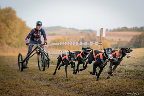LOUKA 2026 | Český pohár ČASS — Louka - Neděle – Start a cíl