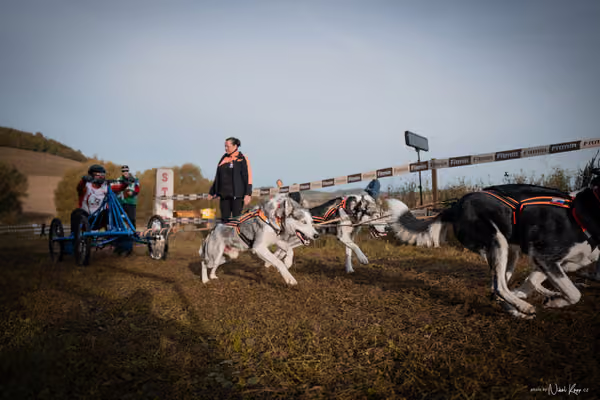 LOUKA 2026 | Český pohár ČASS — Louka - Neděle – Start a cíl