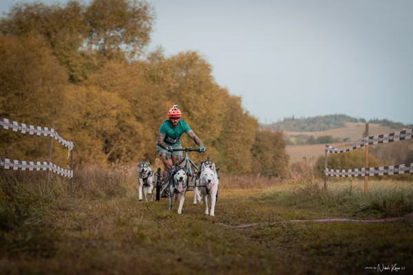 LOUKA 2026 | Český pohár ČASS — Louka - Neděle – Start a cíl