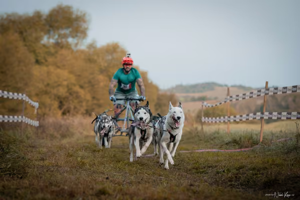 LOUKA 2026 | Český pohár ČASS — Louka - Neděle – Start a cíl