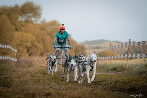 LOUKA 2026 | Český pohár ČASS — Louka - Neděle – Start a cíl