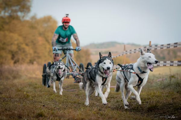 LOUKA 2026 | Český pohár ČASS — Louka - Neděle – Start a cíl