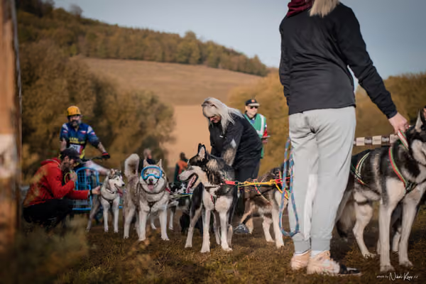 LOUKA 2026 | Český pohár ČASS — Louka - Neděle – Start a cíl