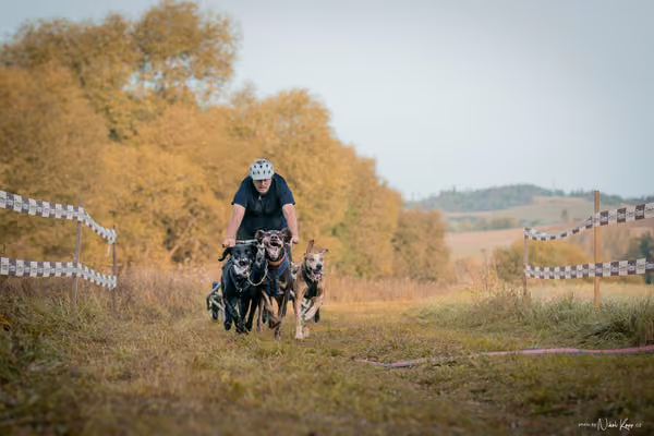 LOUKA 2026 | Český pohár ČASS — Louka - Neděle – Start a cíl