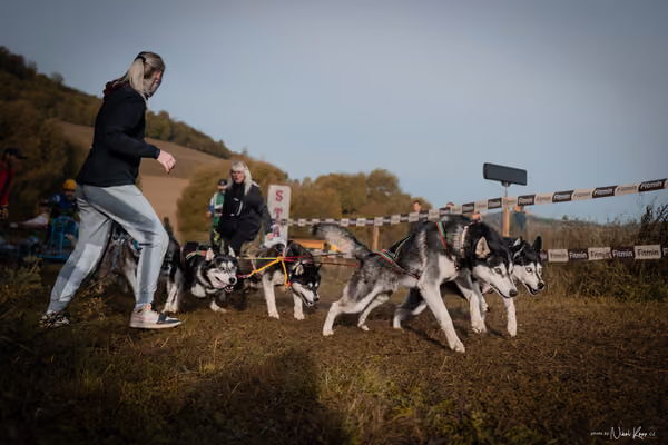 LOUKA 2026 | Český pohár ČASS — Louka - Neděle – Start a cíl