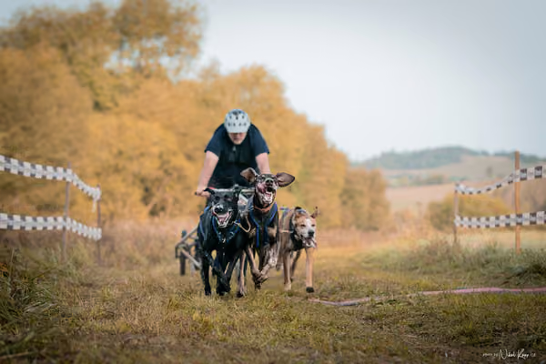 LOUKA 2026 | Český pohár ČASS — Louka - Neděle – Start a cíl