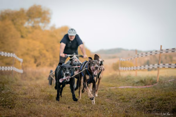 LOUKA 2026 | Český pohár ČASS — Louka - Neděle – Start a cíl