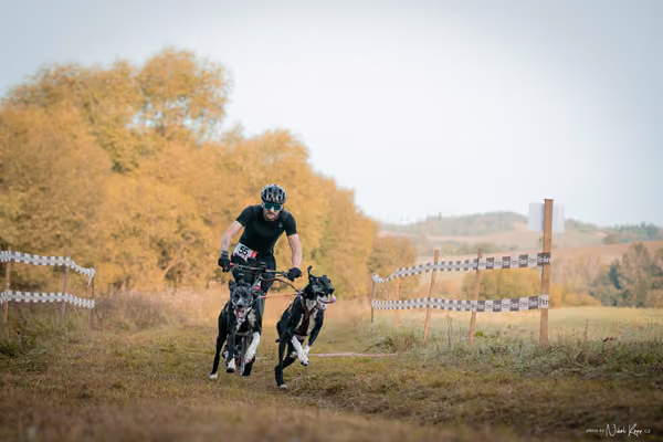 LOUKA 2026 | Český pohár ČASS — Louka - Neděle – Start a cíl
